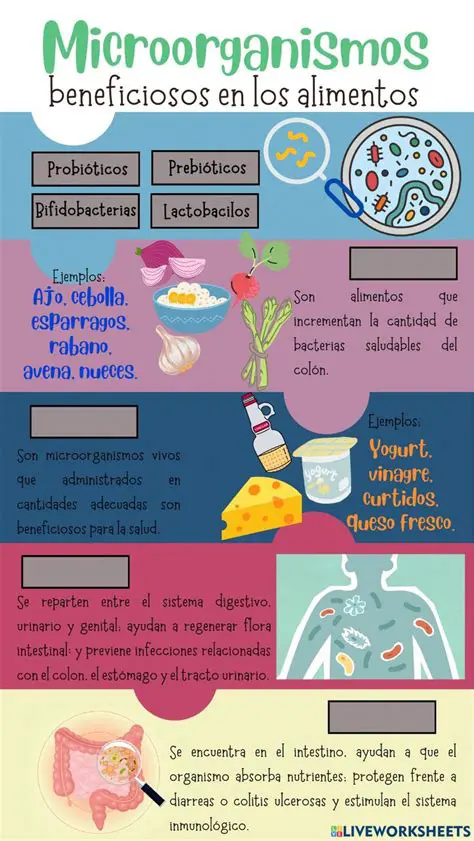 Preguntas y Respuestas sobre los Microorganismos y la Inocuidad de los Alimentos