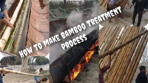 Preparation of Bamboo Samples