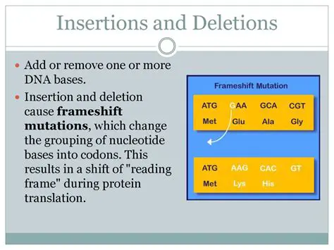Preparation of Log for Modifications and Deletions