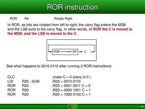 Previous RORs and Works Examples