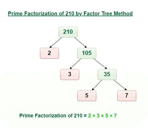 Prime Numbers and Factorization