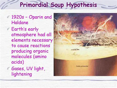 Primordial Soup Hypothesis