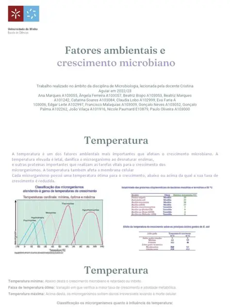 Principais fatores que influenciam a quantidade de luz e a temperatura no ecossistema