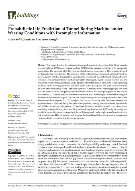 Probabilistic Life Prediction