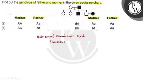 Probable Genotypes of the Parents