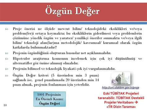 Problem veya engelin giderilmesi