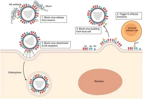 Production of antiviral proteins