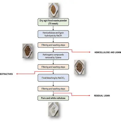 Production of cellulose nanocrystals from agricultural waste