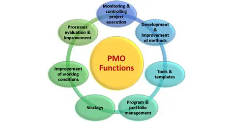Project Management Function