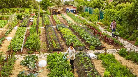 Promoting sustainable agriculture