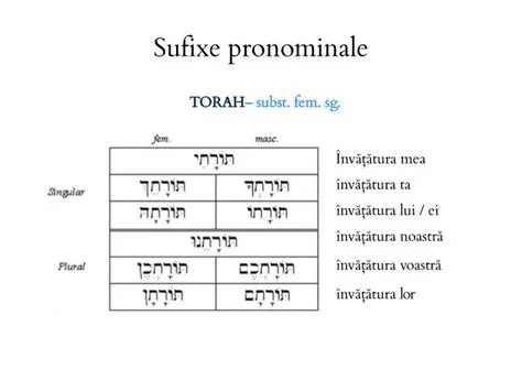 Pronumele demonstrative cu sufixe