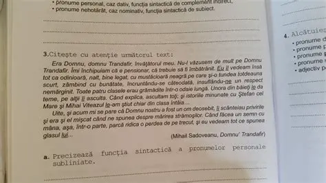 Pronumele Personale din Textul Citat