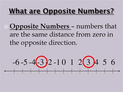 Properties of Opposite Numbers