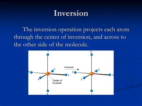 Properties of the Inversion Operation