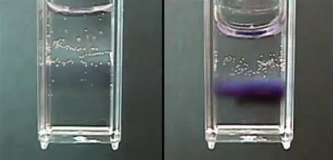 Propriedades do Reagente de Molisch