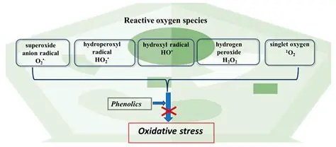 Protecting against oxidative stress