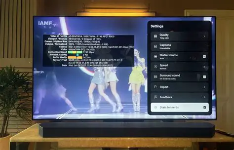 Provide a Description that is Worded Well Enough to be Understood