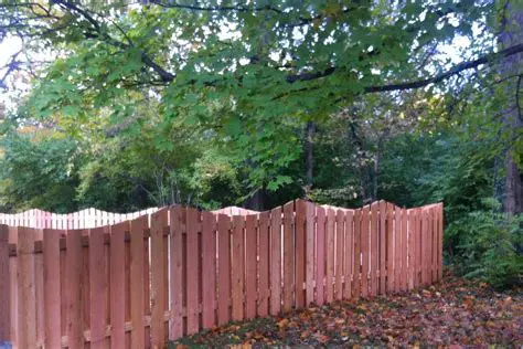 Provide customization options