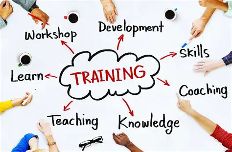 Provide Training and Development