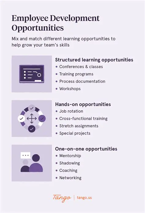 Provide training and development opportunities for employees