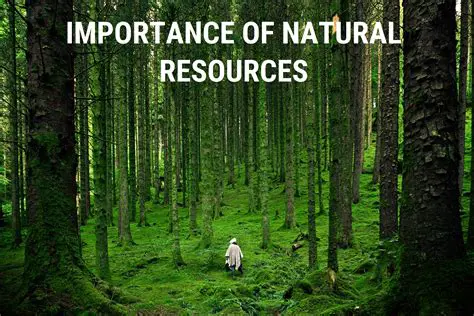 Provides natural resources