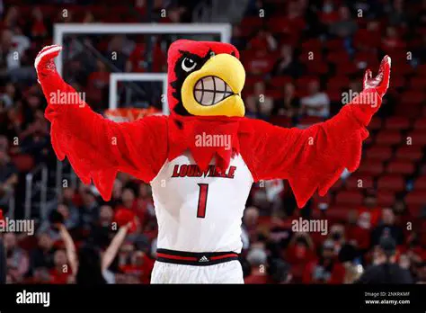 P.S. I. Louisville Basketball News: Unpacking the Latest from the Cardinals Court
