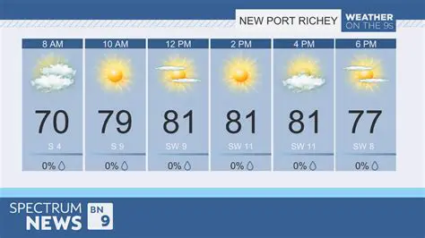 PSEI Weather in Newport News Tomorrow: Hourly Forecast and What to Expect