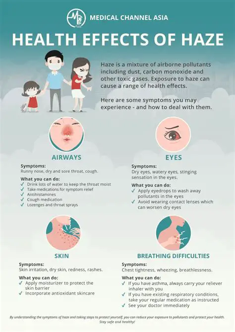 PSESmokeyse Indonesia: Navigating Haze and Health Impacts in Southeast Asia