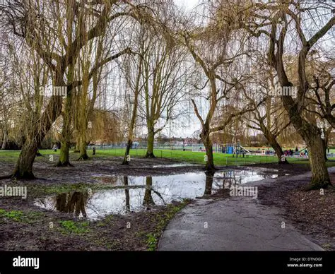 Puddles and standing water