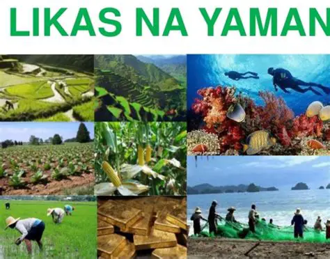 Quezon: Isang Lalawigang Mayaman sa Kasaysayan, Kultura, at Likas na Yaman