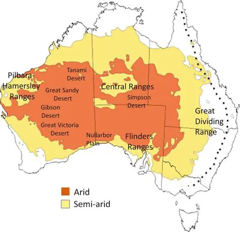 Rainfall in Arid and Semiarid Regions