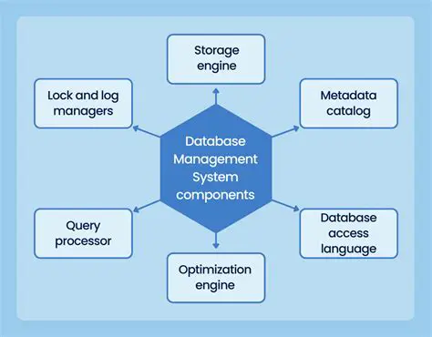 rapid database management and navigation