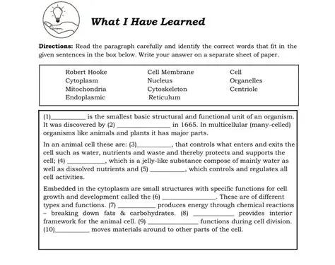 Read the paragraph carefully