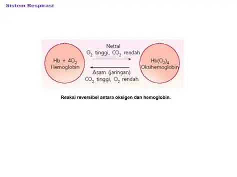 Reaksi Maksenium dengan Oksigen