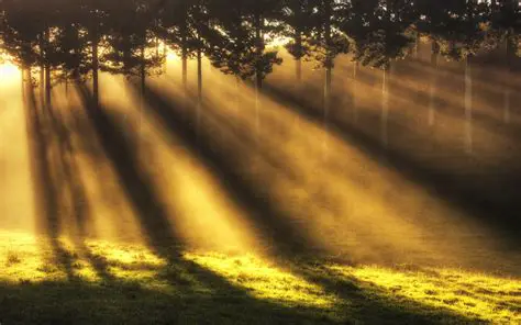 Reasons to Support the Divergent Nature of a Sunbeam