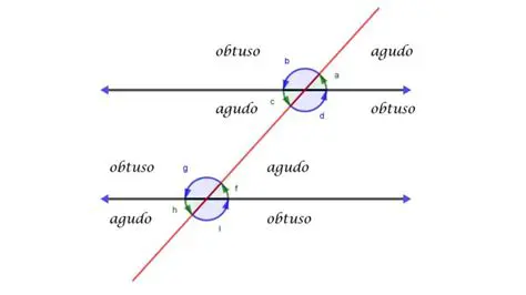 Rectas cortadas por una secante