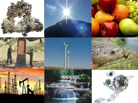 Recursos naturais abundantes