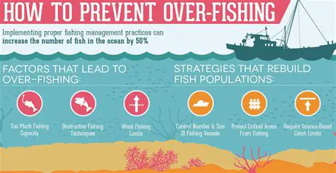 Reduce excessive fishing activities