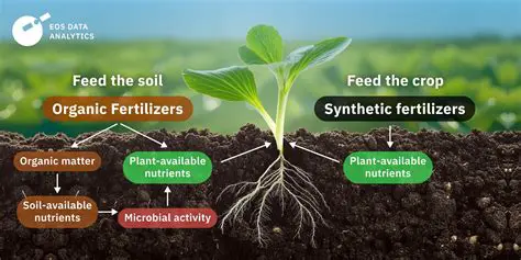 Reducing the need for synthetic fertilizers