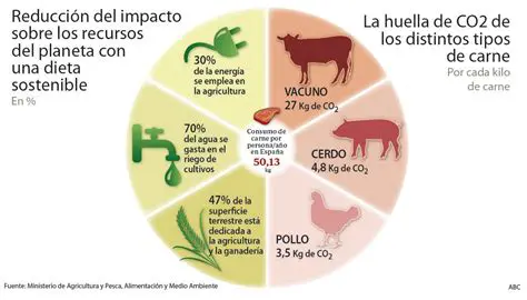 Reducir el consumo de productos de ballena