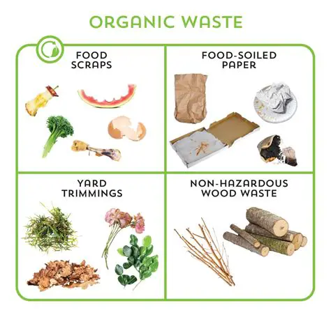 Reduction of Organic Waste