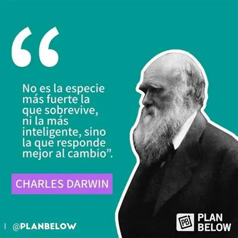 Reescribiendo la Frase Original