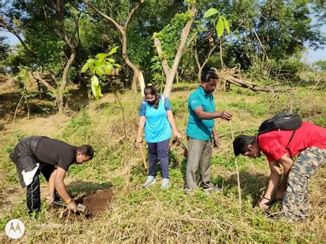 Reforestation Participation