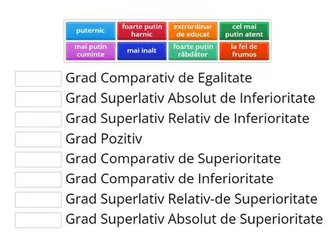 Regele Pus La Toate Gradele de Coparticipare