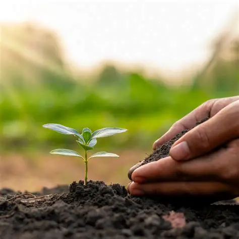 Regue a planta regularmente