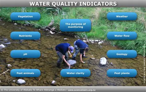 Regular monitoring of water quality and phytoplankton diversity