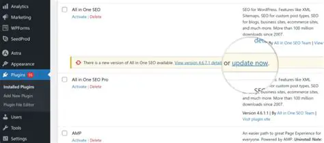 Regularly Update the Plugin