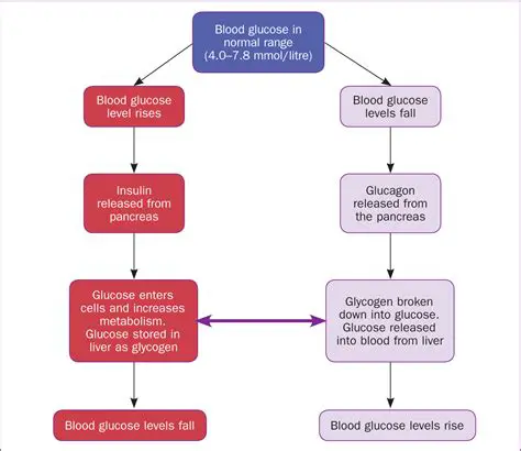 Regulation of sugar levels