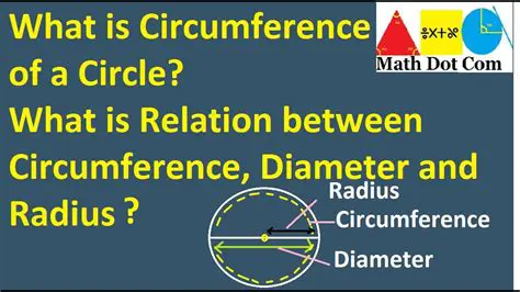 Relationship Between Circumference and Radius