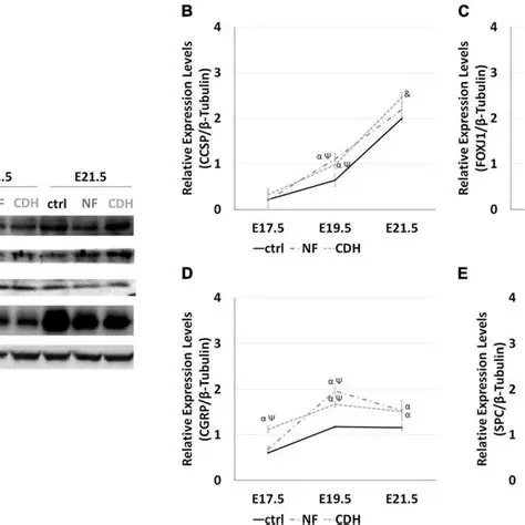 Relative Heights of Clara and Chad